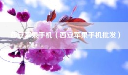 西安苹果手机（西安苹果手机批发）