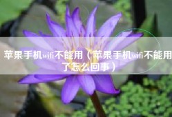 苹果手机wifi不能用（苹果手机wifi不能用了怎么回事）