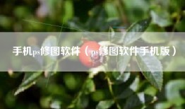 手机ps修图软件（ps修图软件手机版）