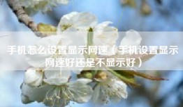 手机怎么设置显示网速（手机设置显示网速好还是不显示好）