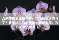 六问手机流量那些事：我的流量去哪儿了？我手机「六问手机流量那些事：我的流量去哪儿了？」