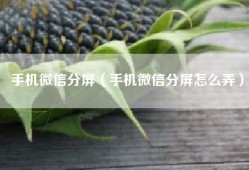 手机微信分屏（手机微信分屏怎么弄）