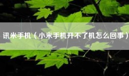 讯米手机（小米手机开不了机怎么回事）