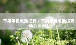 苹果手机电池损耗（苹果手机电池损耗快的原因）