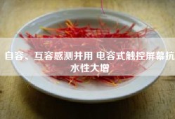 自容、互容感测并用 电容式触控屏幕抗水性大增