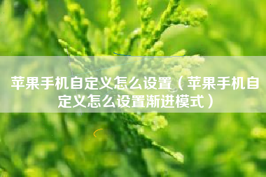 苹果手机自定义怎么设置（苹果手机自定义怎么设置渐进模式）