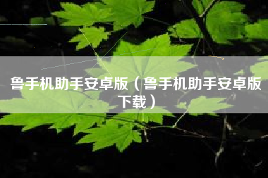 鲁手机助手安卓版（鲁手机助手安卓版下载）