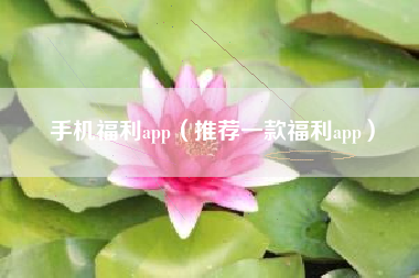 手机福利app（推荐一款福利app）