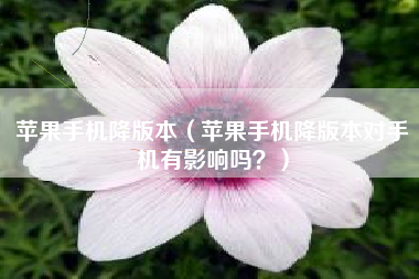 苹果手机降版本（苹果手机降版本对手机有影响吗？）