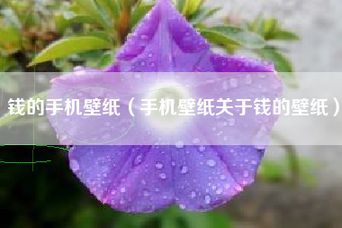 钱的手机壁纸（手机壁纸关于钱的壁纸）