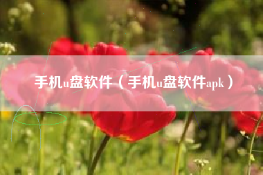 手机u盘软件（手机u盘软件apk）